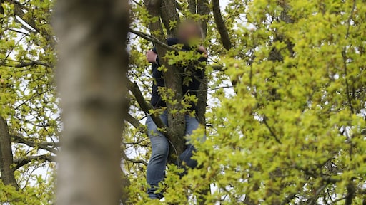 Vrouw in Voorschoten uit boom gered na poging kat te helpen