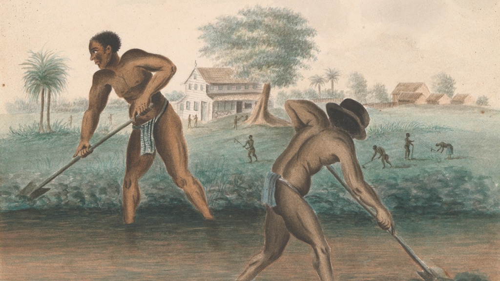 Tentoonstelling Slavernij in Rijksmuseum geeft slaven hun naam terug