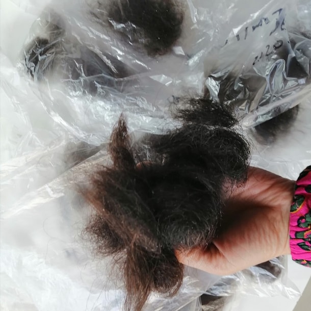 De uitgevallen haren van Jolanda Schepers die ze verzamelde in zakjes.