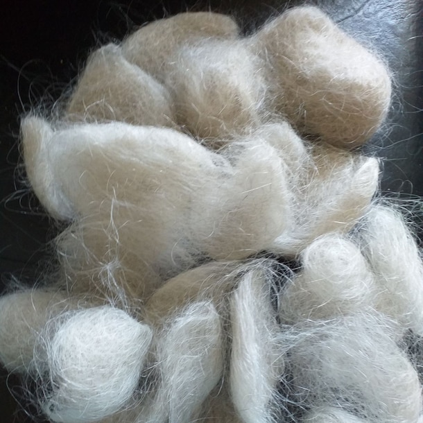 De haren die Jolanda Lievens in twee weken tijd kwijtraakte.