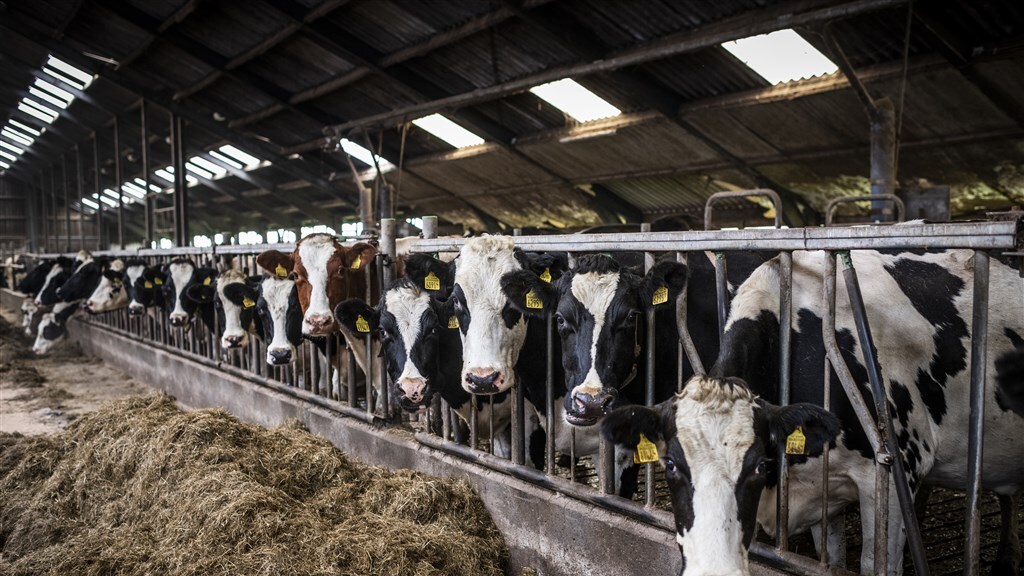 Extra controles dierenwelzijn tijdens snikhete dagen
