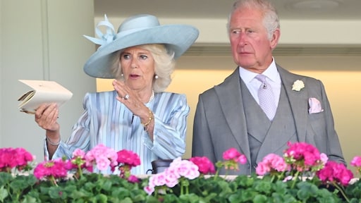 Man die claimt zoon van Charles en Camilla te zijn levert 'bewijs'