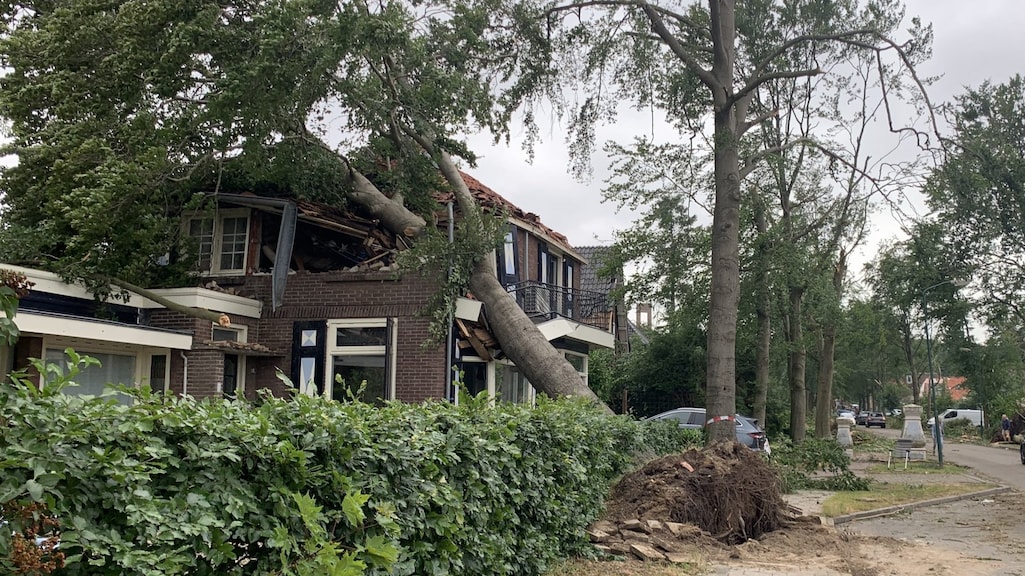 Zeker zes huizen onbewoonbaar in Leersum, duizenden bomen omgewaaid