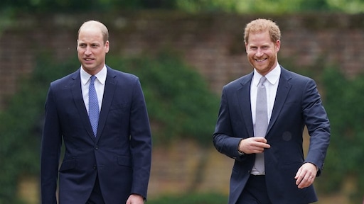 Harry en William onthullen standbeeld van prinses Diana