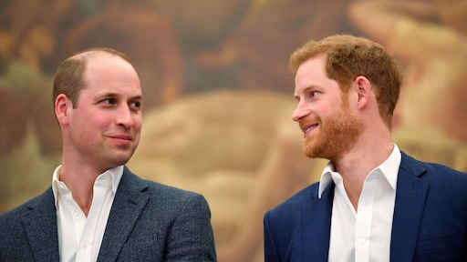 William en Harry herdenken moeder Diana op geboortedag