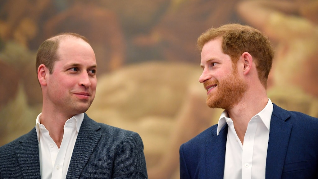 William en Harry herdenken moeder Diana op geboortedag