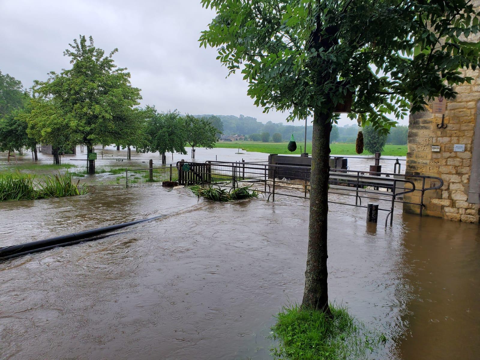 Acuut overstromingsgevaar in Limburg: regenval tot morgennacht