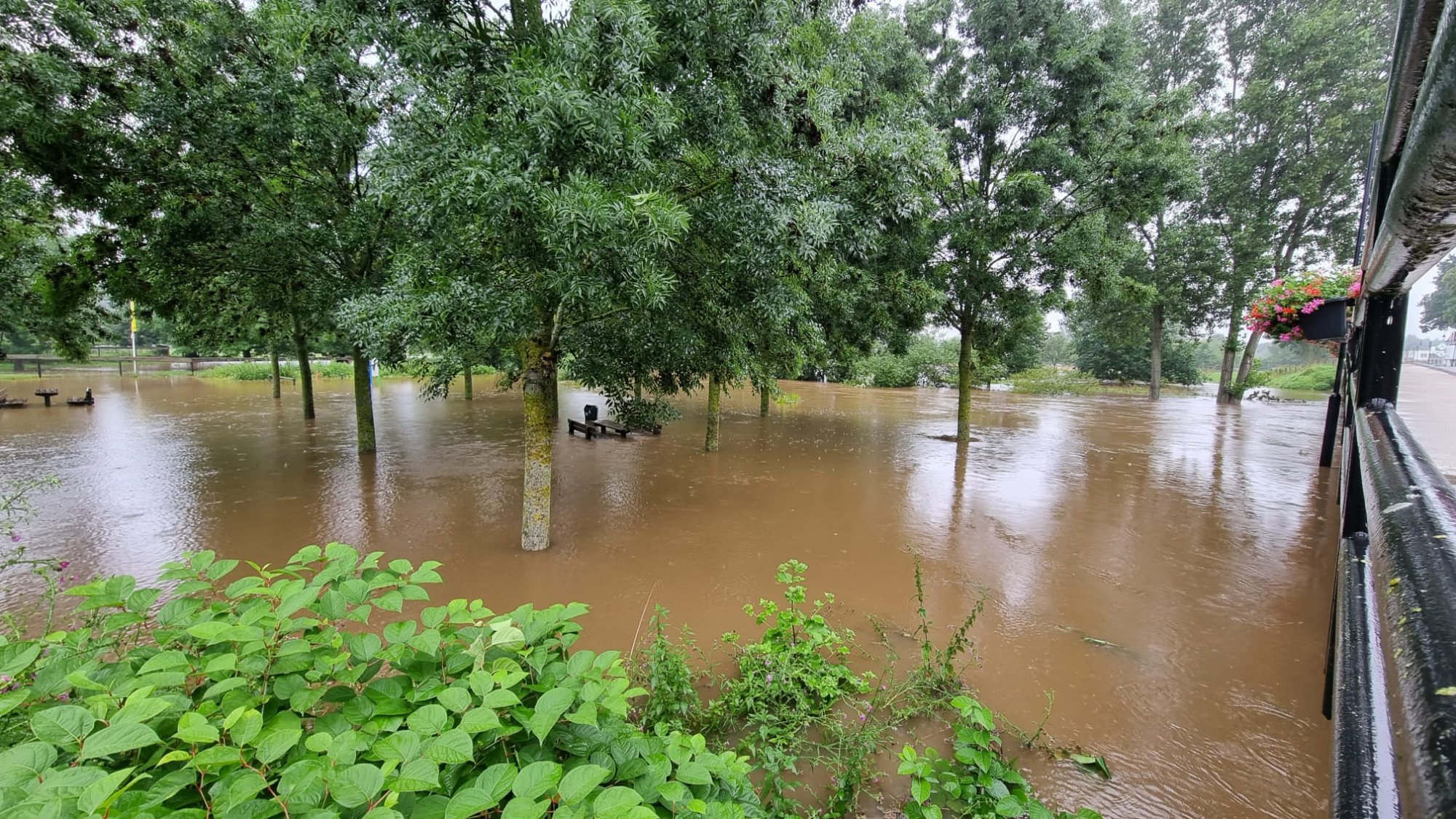 Water trekt omhoog: Midden- en Noord-Limburg aan de beurt