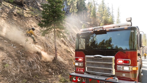 Bossen voor niets geplant: CO2-compensatie in rook op