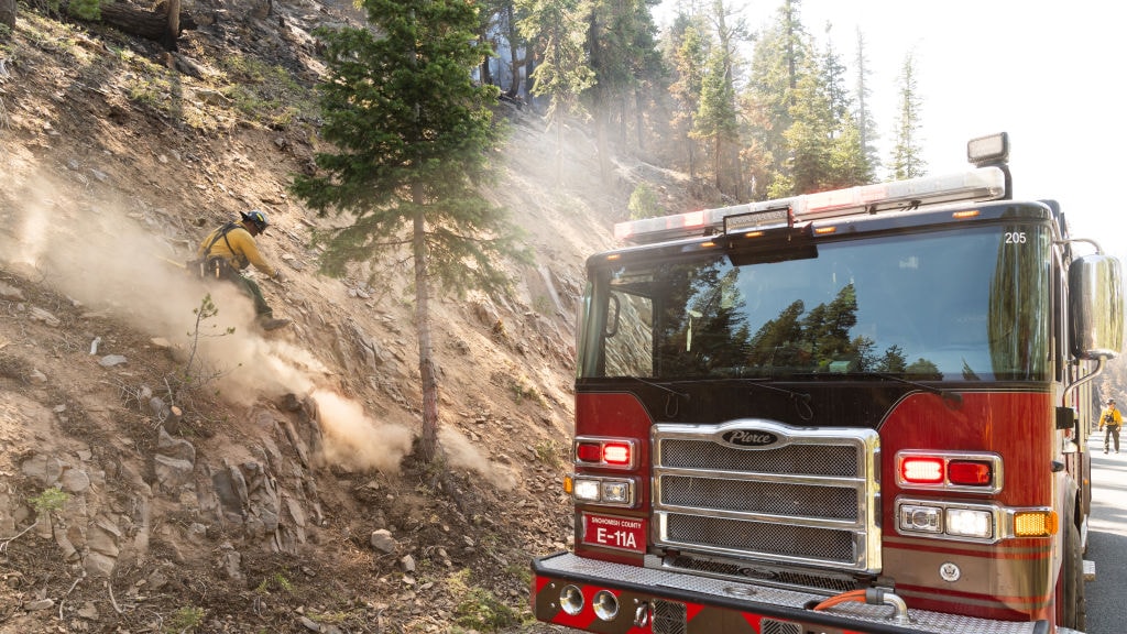 Bossen voor niets geplant: CO2-compensatie in rook op