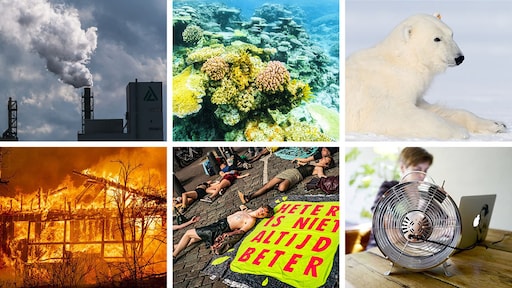 Hitterecords en uitgestorven dieren, hoeveel weet jij van klimaatverandering? Doe de quiz