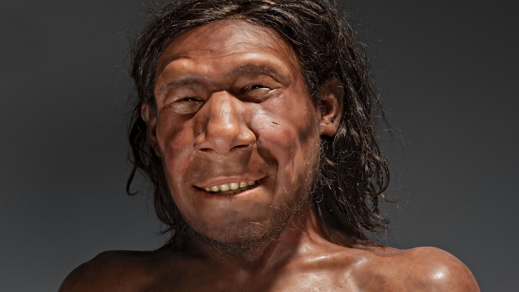 Dit is Krijn: de eerste Nederlandse neanderthaler met een gezicht