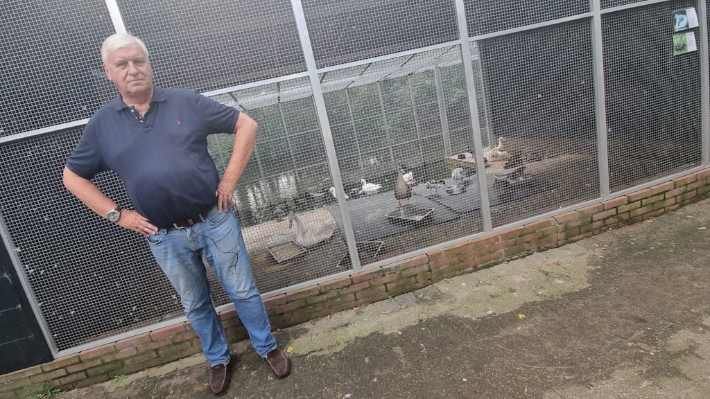 Opvangcentra mogen invasieve exoten niet vrijlaten: 'Opsluiten of inslapen'