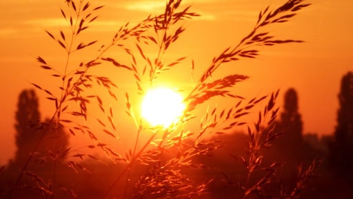 Warmer dan 50 graden? Dat gebeurt vaker, vaker, en vaker