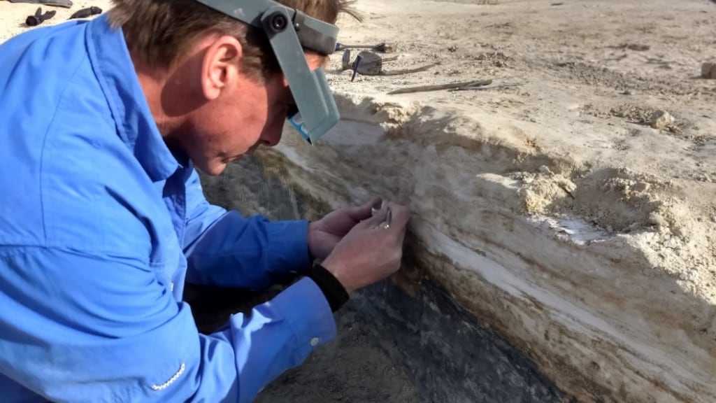 This discovery was made in White Sands National Park in New Mexico, USA.