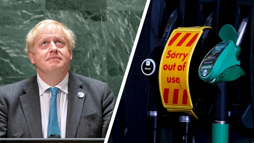 Tekorten aan de pomp en in de pub: 'Britten beginnen brexit te voelen'