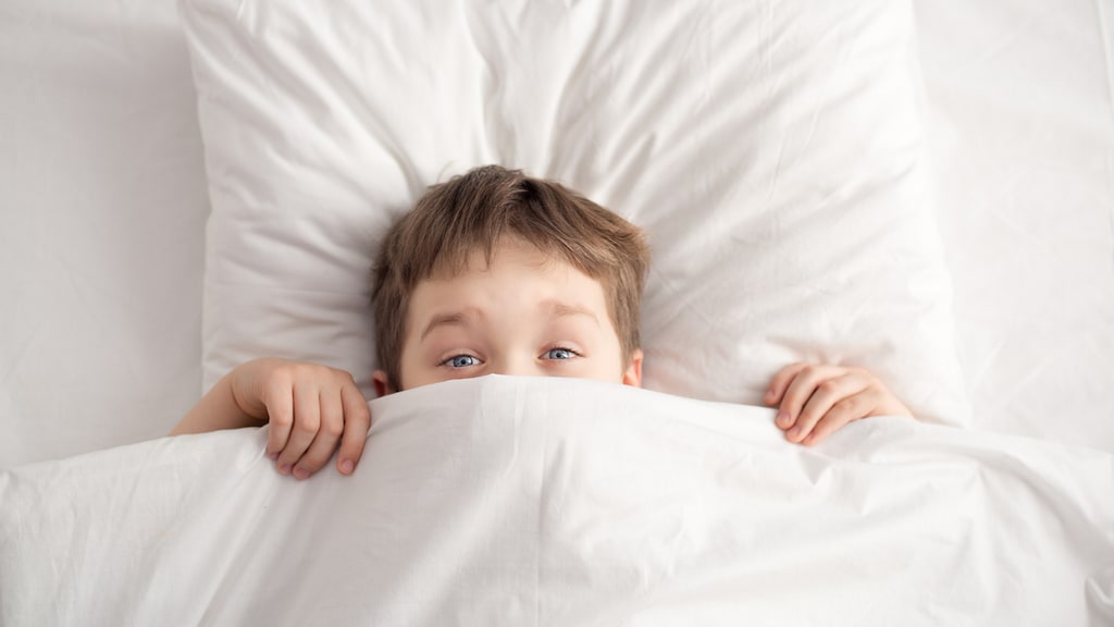 De opvoedkwestie: 'Mijn zoontje (8) wil niet logeren'