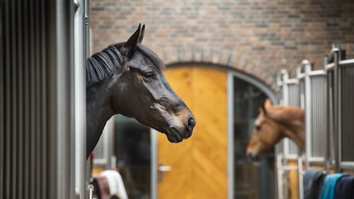 Leasebedrijf Econocom mag directeur ontslaan wegens gesjoemel