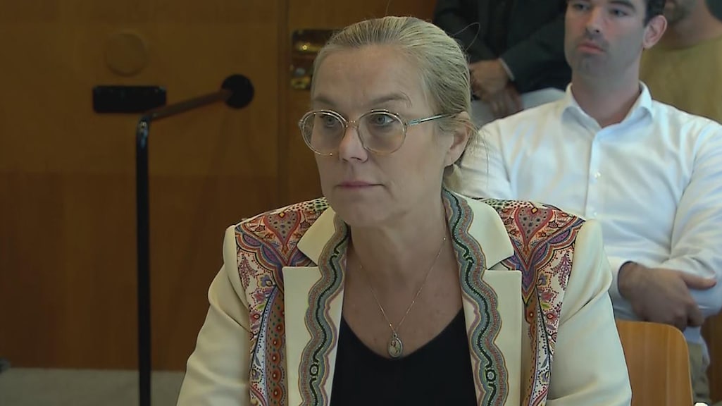 Kaag in rechtbank tegenover bedreiger: 'Bang dat er iets met gezin gebeurt'