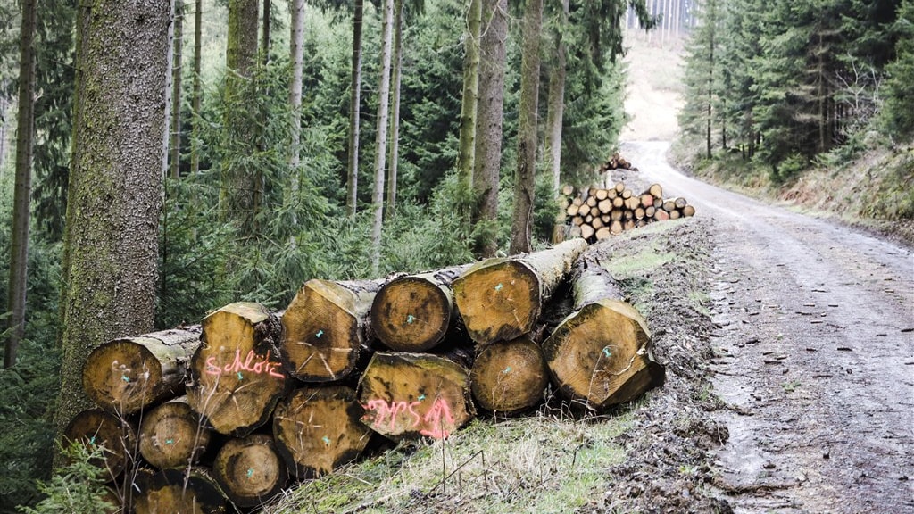 Eerste grote deal klimaattop Glasgow: in 2030 einde aan ontbossing