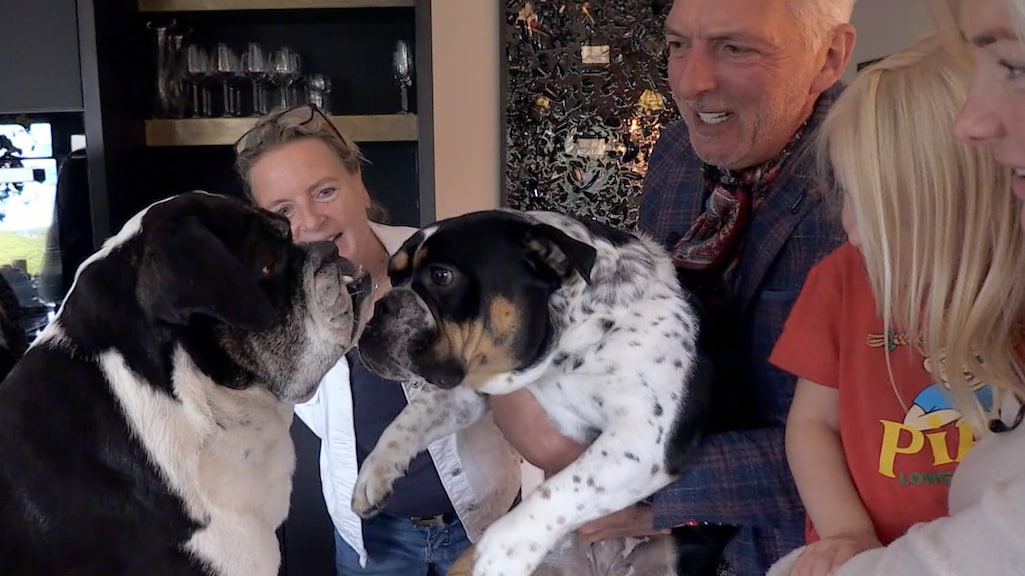 Bijzonder: overleden hond Bommel keert terug in huize Meiland