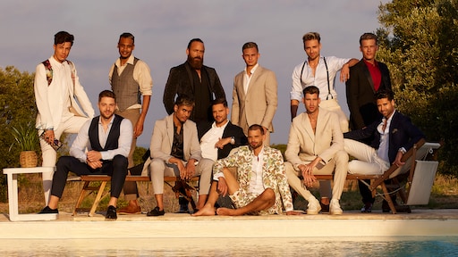 Deze 12 mannen proberen Chris te veroveren in Prince Charming