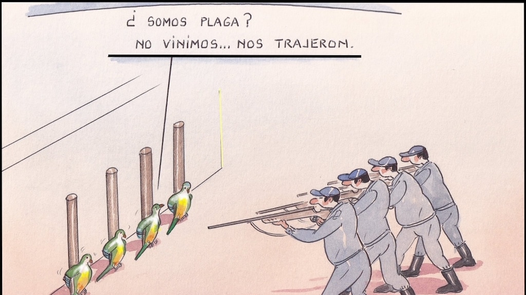 'Zijn wij een plaag? Wij zijn hier ook maar naar toe gehaald'