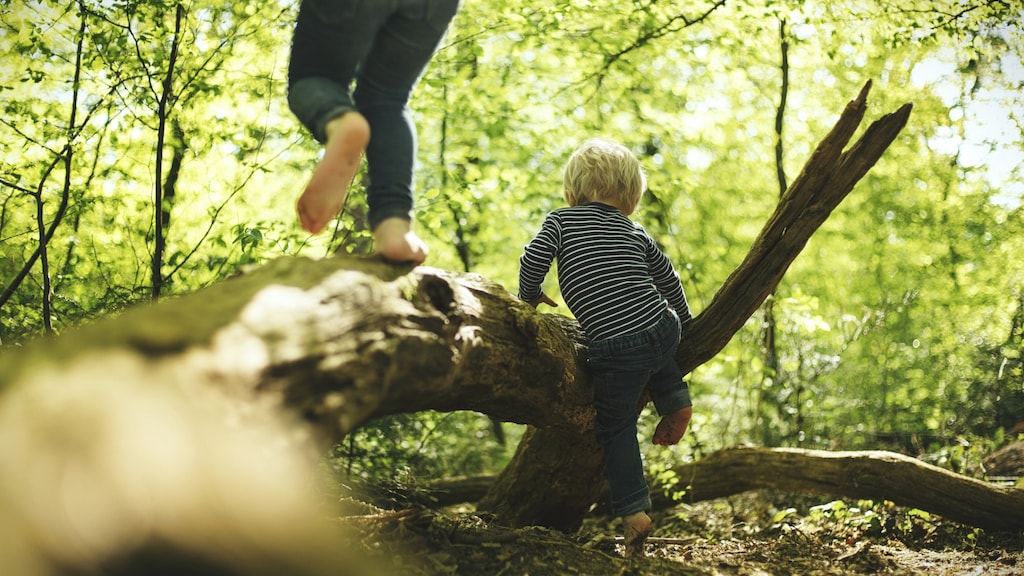 Inspiratie voor leuke uitjes met kinderen in de natuur