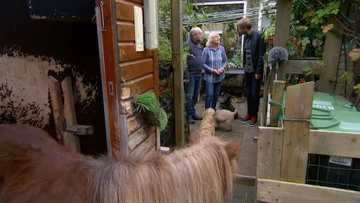 Beestenboel drijft buren tot waanzin in Mr. Frank Visser doet uitspraak