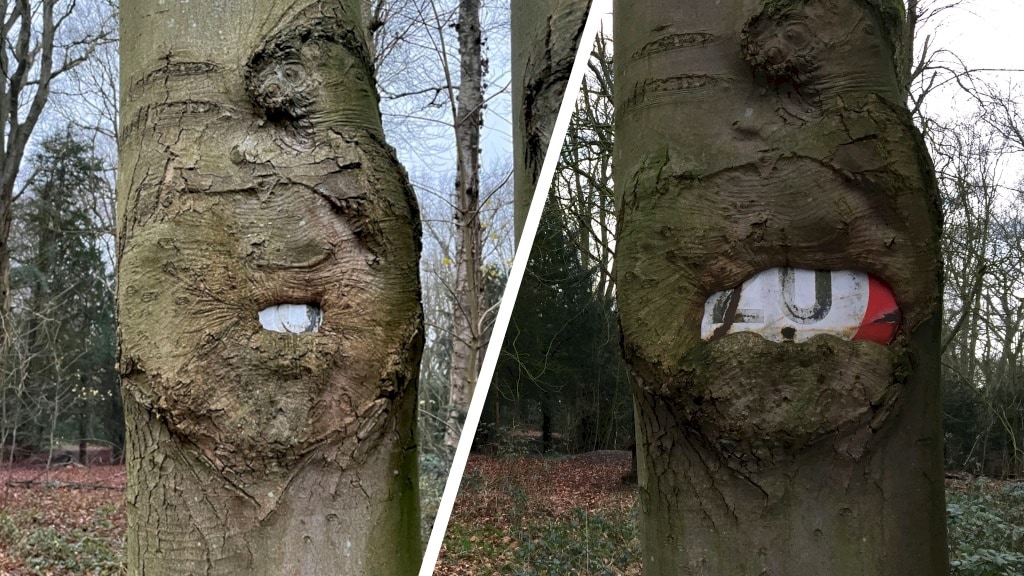 Boom lijkt verkeersbord op te eten: hoe kan dat?