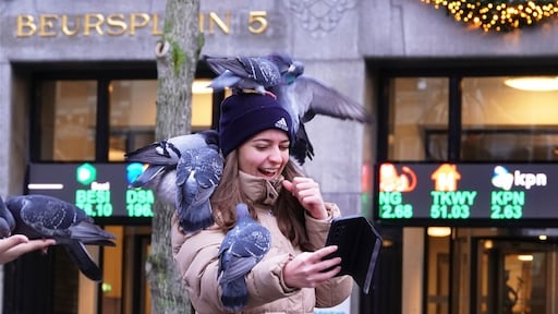 2021 was een prima jaar voor beleggers: bijna alles ging omhoog