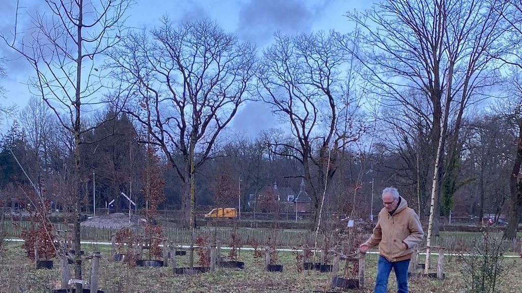 Bomenbeul hakt bijna 80 bomen dood in Amersfoort: 'Zo heftig en schokkend'