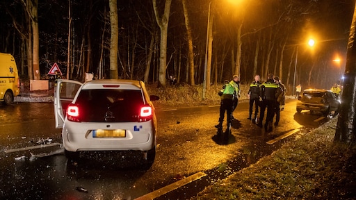 Vier kinderen in ziekenhuis door dronken bestuurder Ossendrecht