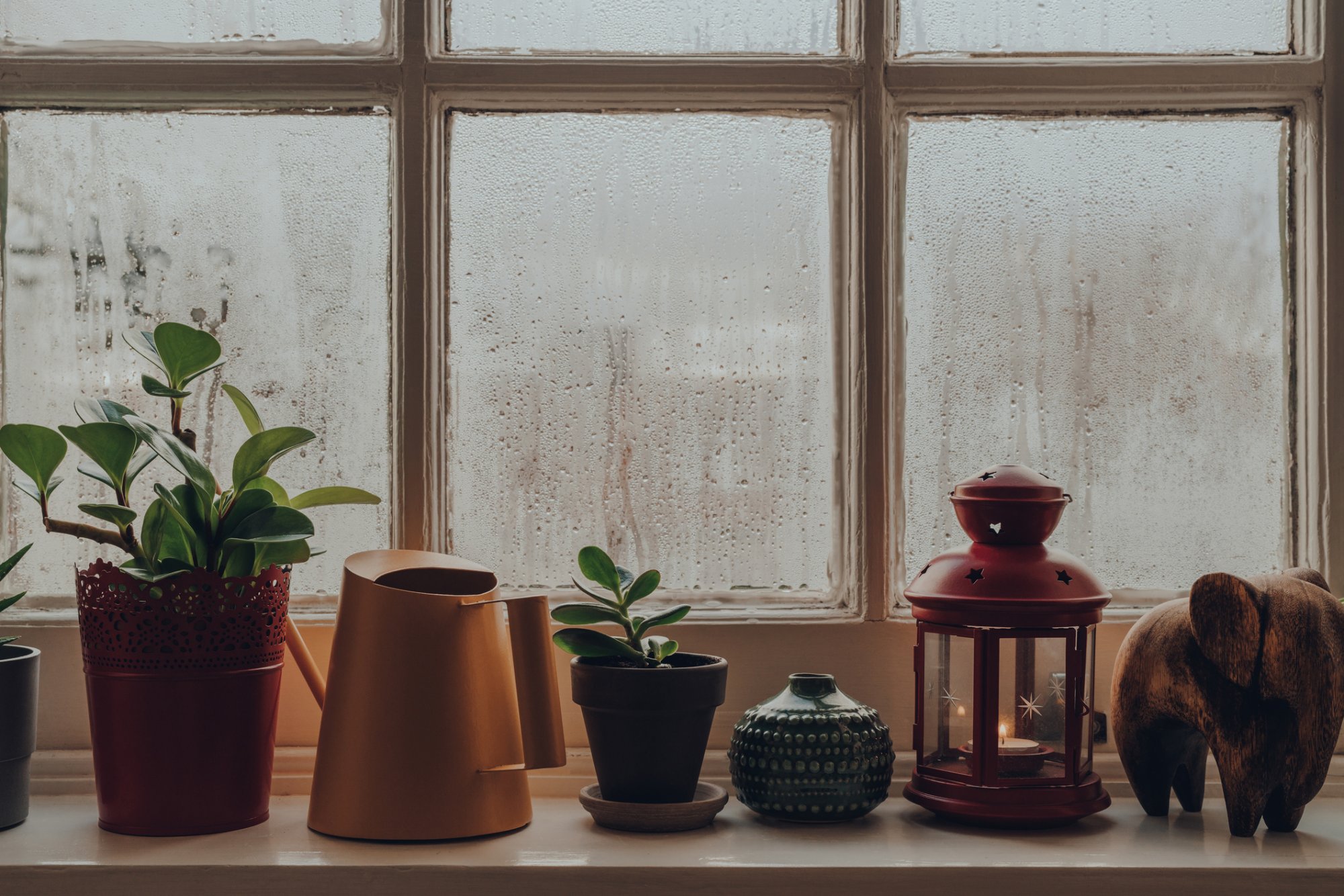 5 tips om vocht in huis tegen te gaan