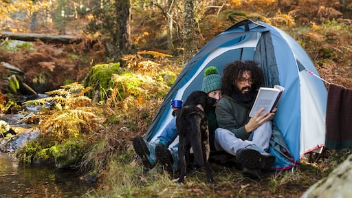 Vakantie in eigen land populair, vliegen op zijn retour