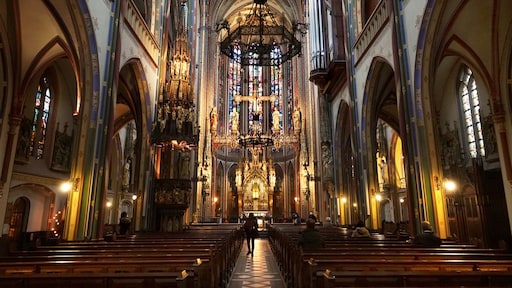 'Katholieken in Nederland veel progressiever dan leiding kerk'