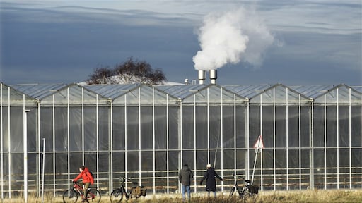 IEA: Onzekerheid over gasprijzen blijft groot, winterweer is cruciaal