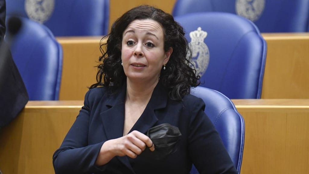 Enquêtecommissie wil nu echt onderste steen boven over toeslagenaffaire