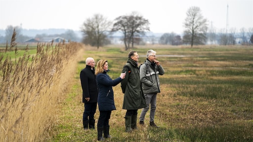 Stikstof bedreigt 14 natuurgebieden: 'Verzuurde plekken blijven over'
