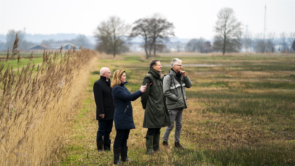 Stikstof bedreigt 14 natuurgebieden: 'Verzuurde plekken blijven over'