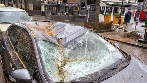 Storm na storm na storm: waarom we in een bijzondere weersituatie zitten