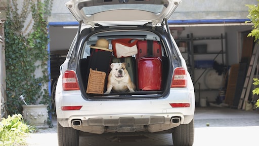 Is autovakantie nog te betalen door hoge benzineprijzen?