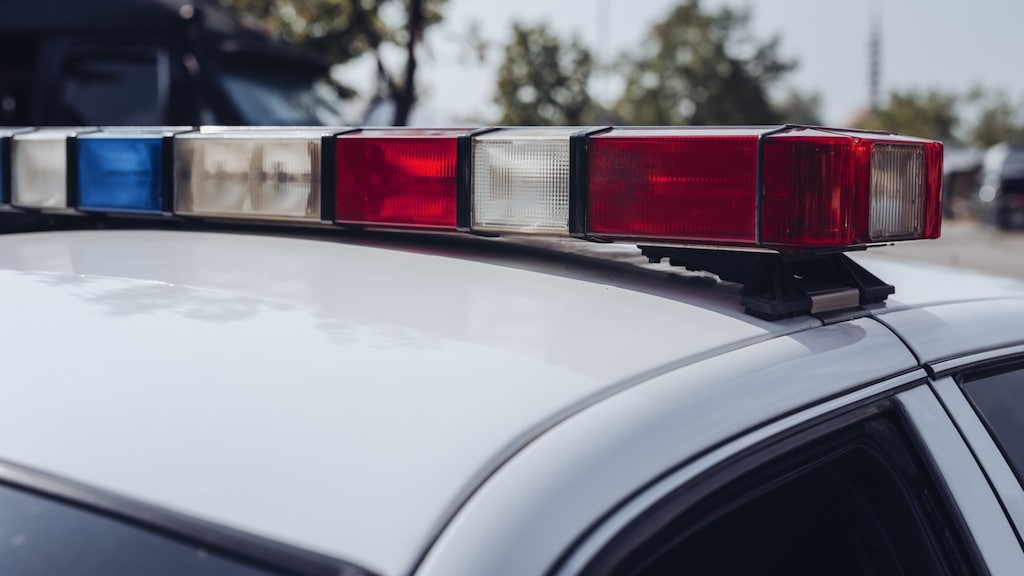 Amerikaans jongetje (3) speelt met pistool en schiet per ongeluk moeder dood