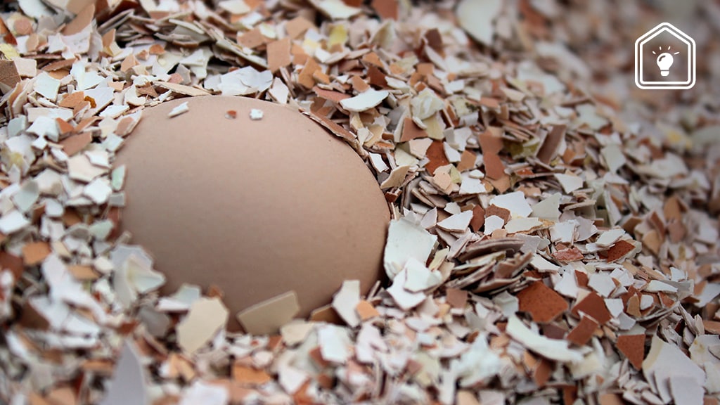 7 dingen die je met eierschalen kunt doen