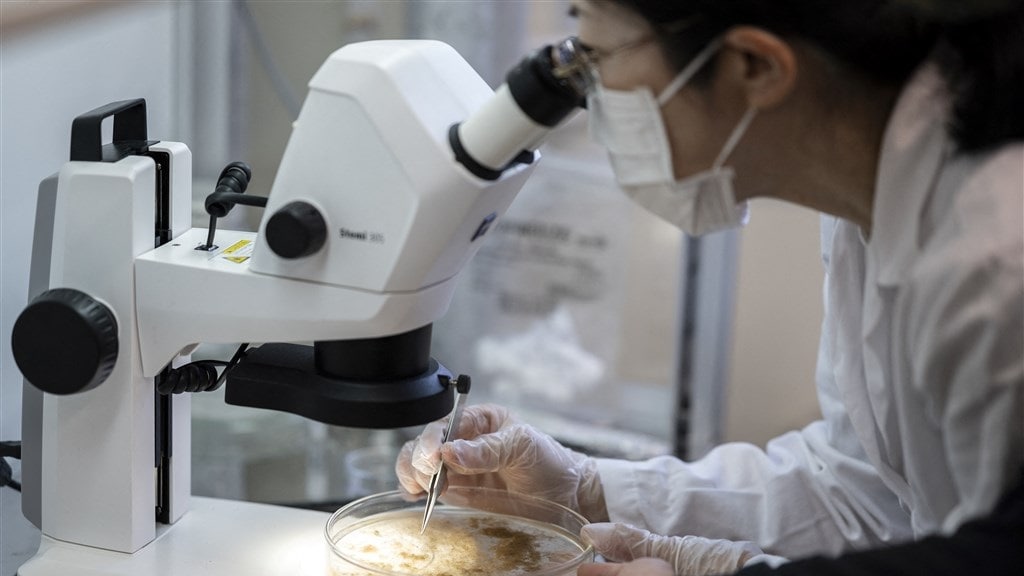 Voor het eerst aanwezigheid van plastic deeltjes in menselijk bloed gevonden