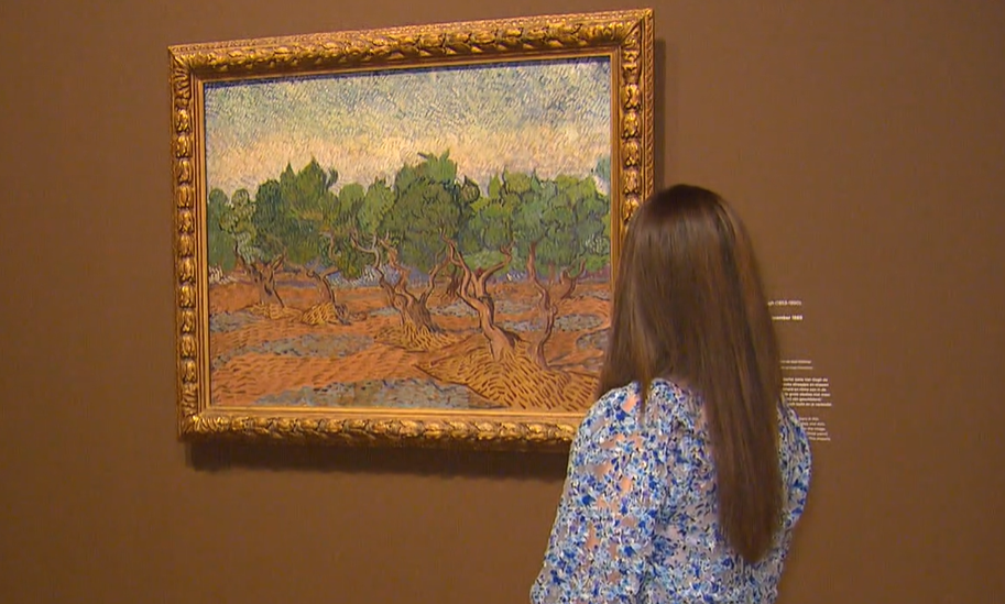 Naar Van Gogh kijken goed voor mentale gezondheid: 'Je wordt er mindful van'