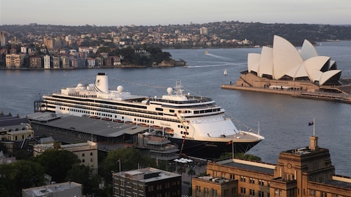 1400 Oekraïense vluchtelingen worden opgevangen op cruiseschip in Rotterdam