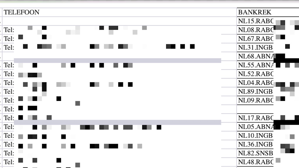 Een voorbeeld van de gepubliceerde privégegevens.
