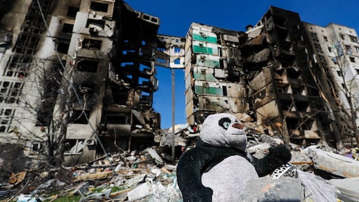 Situatie Borodjanka 'nog erger dan Boetsja': wat is daar gebeurd?