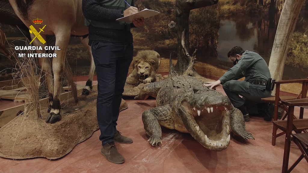 De collectie bestaat mede uit krokodillen, leeuwen en neushoorns.